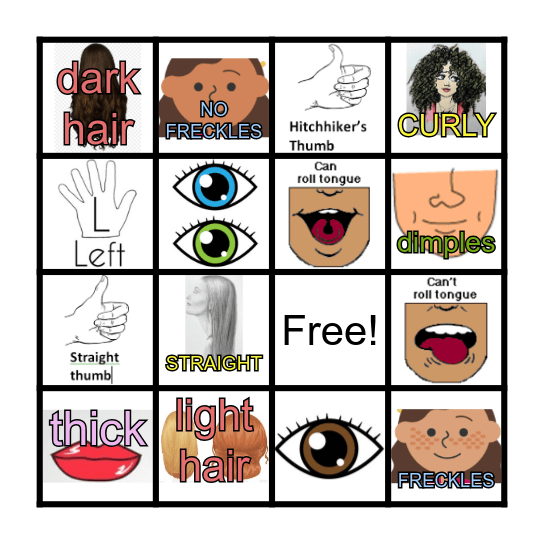 Heredity Bingo Card