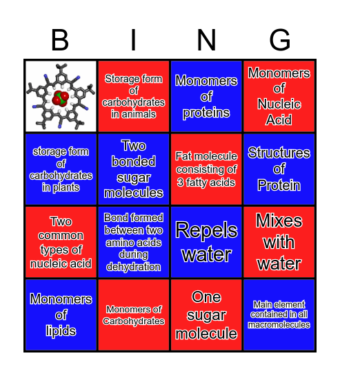 Marcomolecules Bingo Card