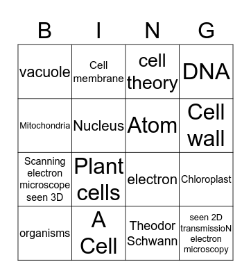 Bio Bingo  Bingo Card