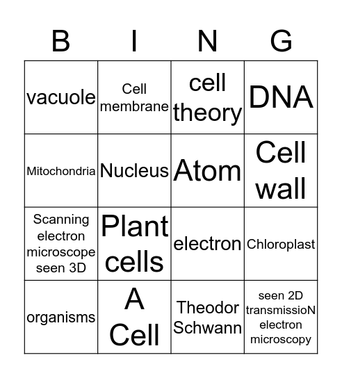 Bio Bingo  Bingo Card