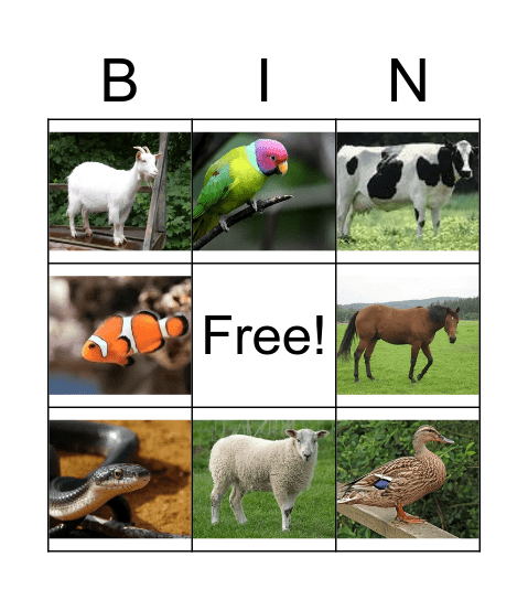 BINATANG Bingo Card
