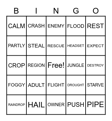 VOCABULARY WORDS Bingo Card