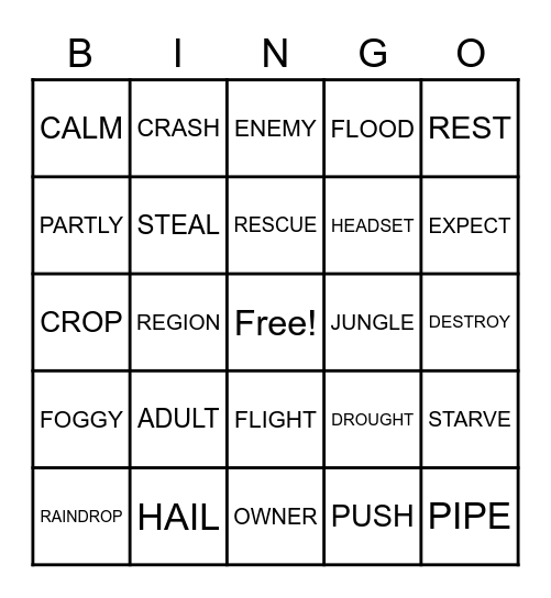 VOCABULARY WORDS Bingo Card