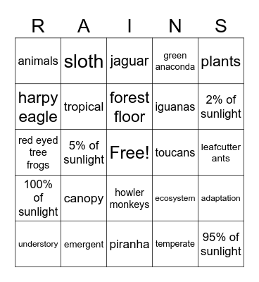 Rainforest Bingo Card