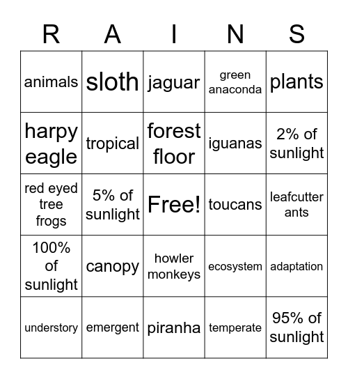 Rainforest Bingo Card