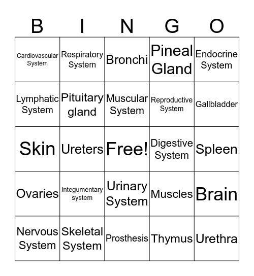 Organ Systems Bingo Card