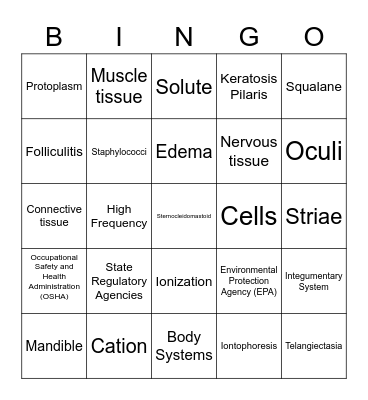 Esthetics State Board Bingo (Quiz 1-3) Bingo Card