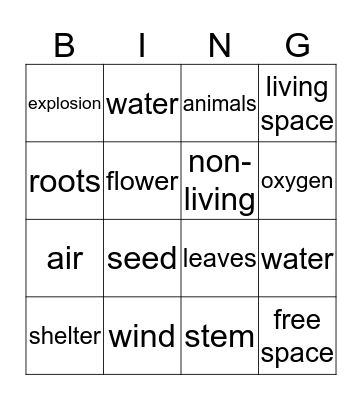 Living things Bingo Card