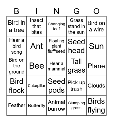 Walk For The Wild Bingo Card