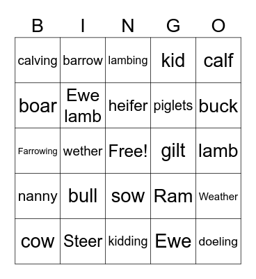 Animal Bingo Card