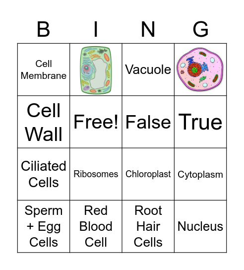 Cells At Work! Bingo Card
