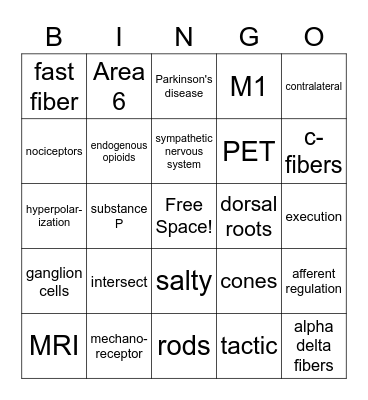 Exam 2 Review Bingo Card