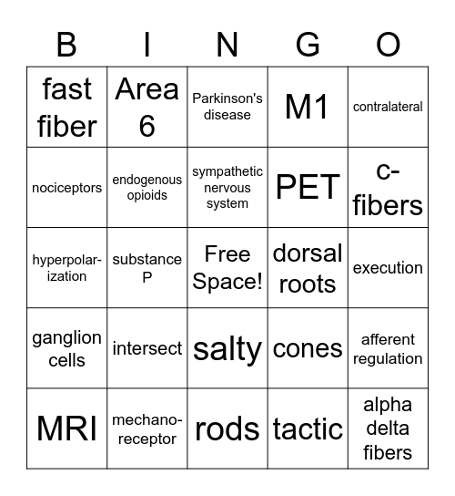 Exam 2 Review Bingo Card