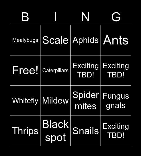 Pest Bing(o)! Bingo Card