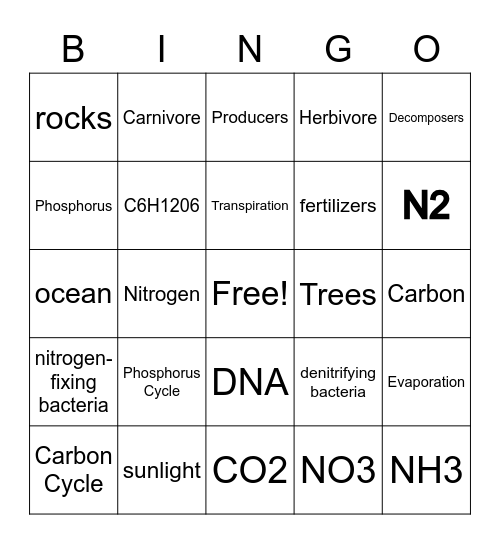 Biogeochemical Cycles Bingo Card