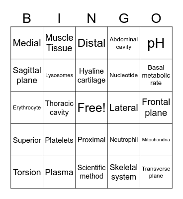 Q1 Bingo Card