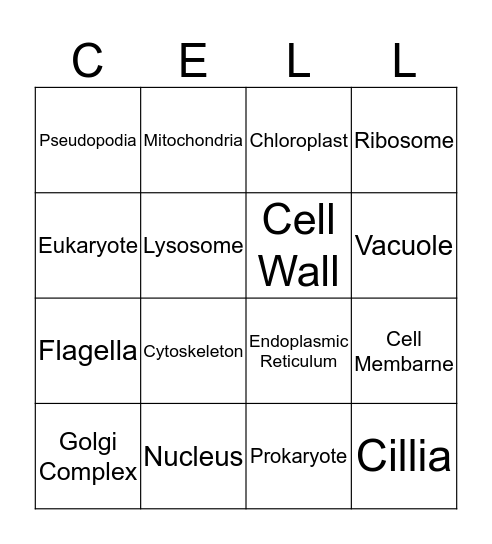 Cell Organelle Bingo Card