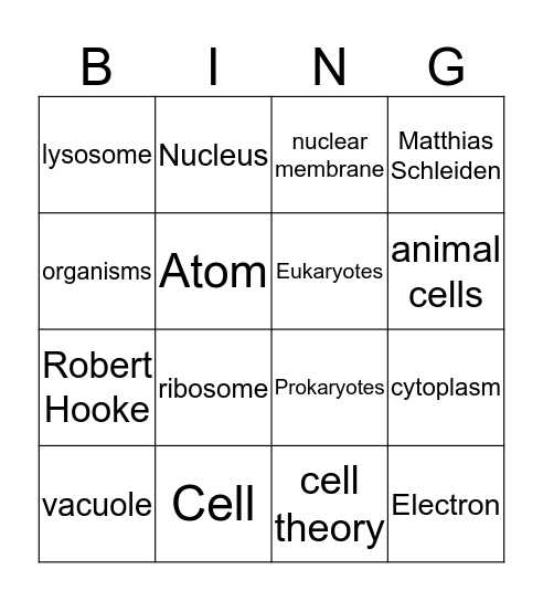 Bio Bingo  Bingo Card