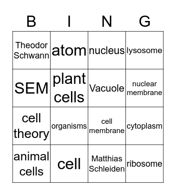 Bio Bingo  Bingo Card