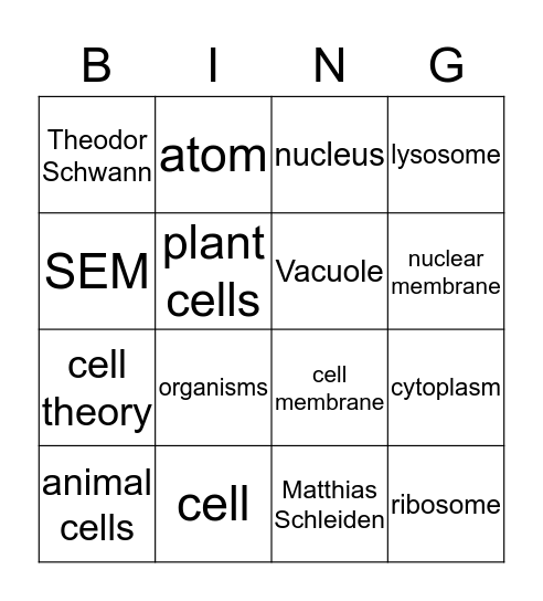 Bio Bingo  Bingo Card