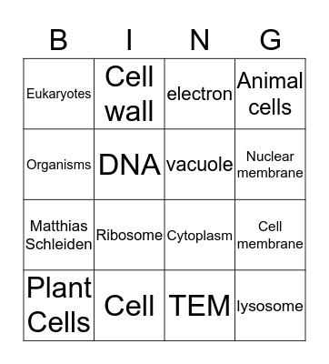 Bio Bingo  Bingo Card