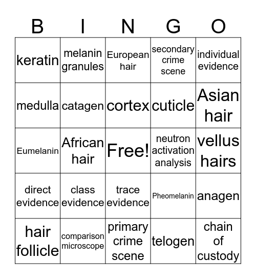 Forensic Hair Bingo Card