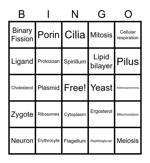 Cell Biology Bingo- Prokaryotic V Eukaryotic Cell  Edition Bingo Card