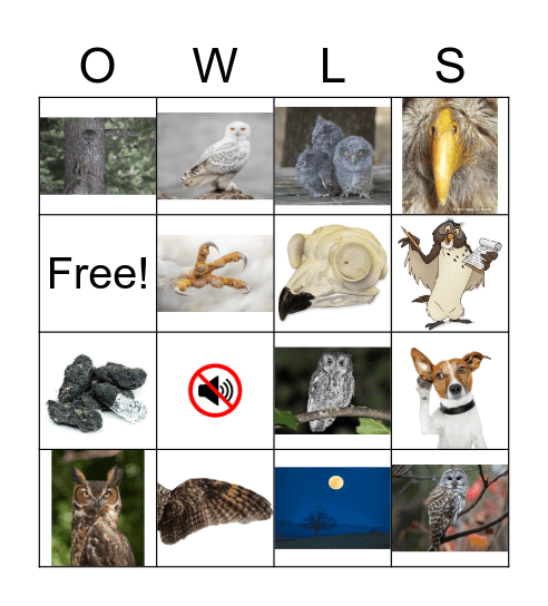 Owl Bingo!!! Bingo Card