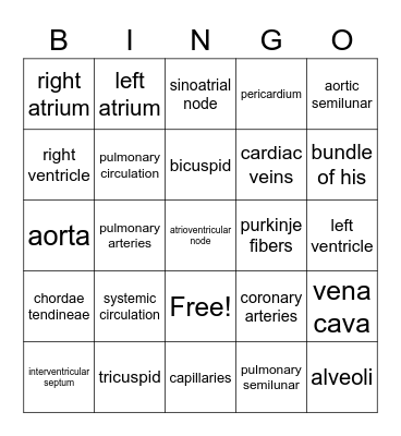 Circulatory System Bingo Card