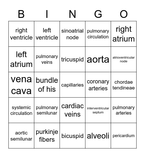 Circulatory Sytem Bingo Card