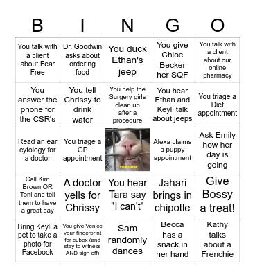 Vet Tech Bingo Card
