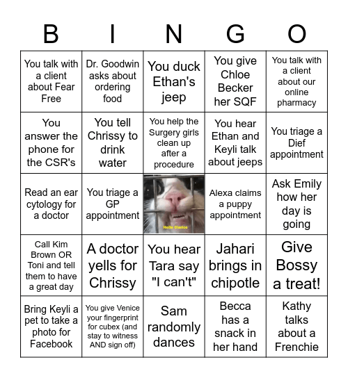 Vet Tech Bingo Card