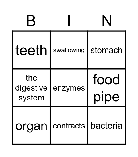 The digestive system Bingo Card