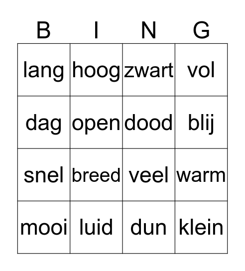 Tegenstellingen Bingo Card