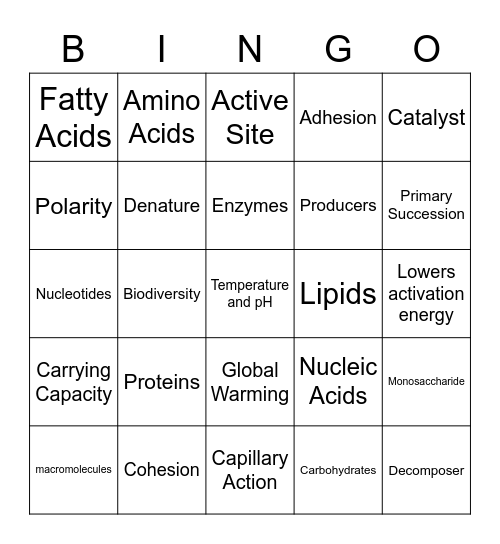 Macromolecules Bingo Card