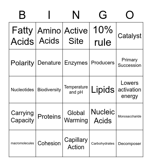 Macromolecules Bingo Card