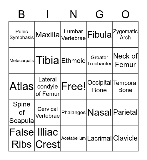 Bone Bingo Card