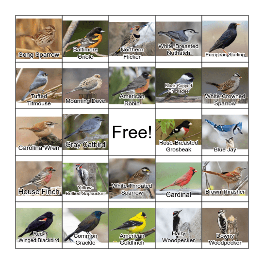 Bird Bingo Card