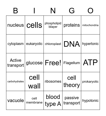 Cells Bingo Card