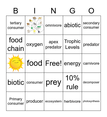 Energy in Food Bingo Card