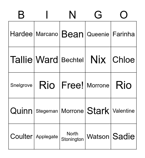 Names Bingo Stegeman Bingo Card