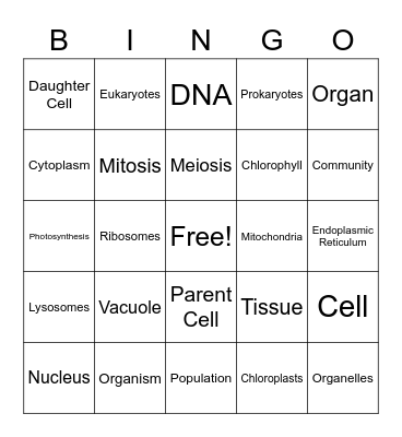 Cell Vocabulary Bingo Card