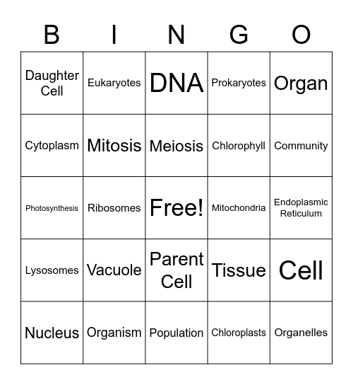 Cell Vocabulary Bingo Card