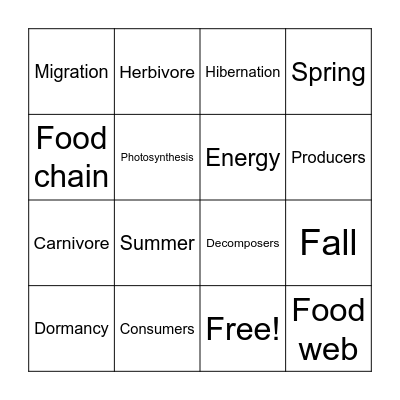 Unit 11 Vocabulary Bingo! Bingo Card