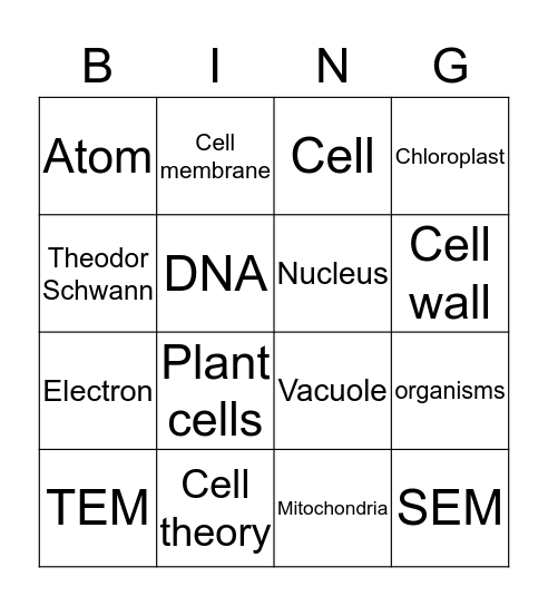 Bio Bingo  Bingo Card