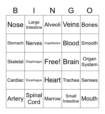 Human Body Systems Bingo Card