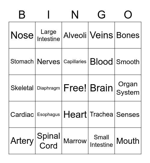Human Body Systems Bingo Card