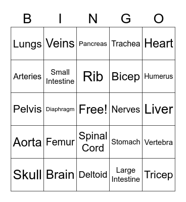 Anatomy Bingo Card