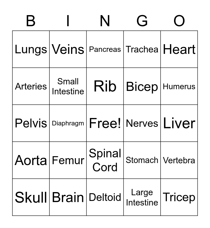 Anatomy Bingo Card