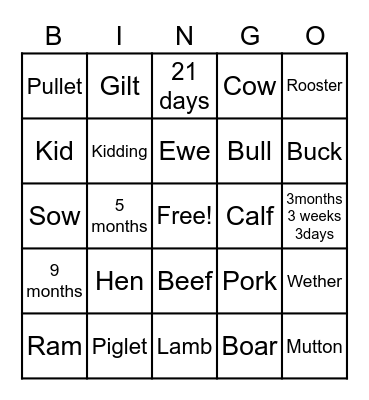 Animal Term Review Bingo Card